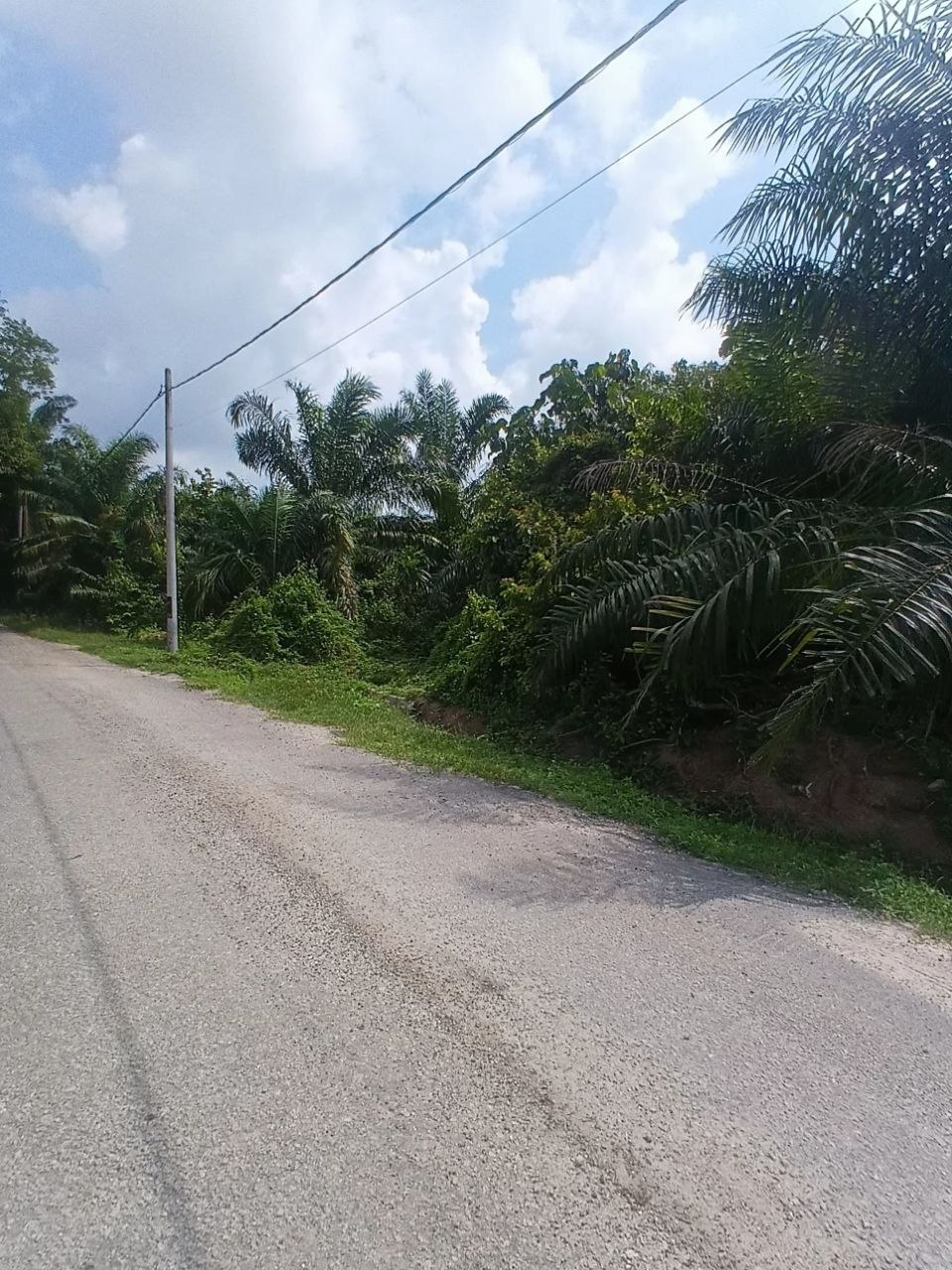 TANAH TEBONG ALOR GAJAH MELAKA