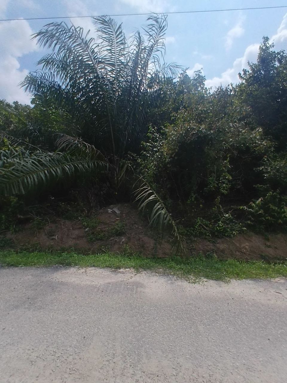 TANAH TEBONG ALOR GAJAH MELAKA