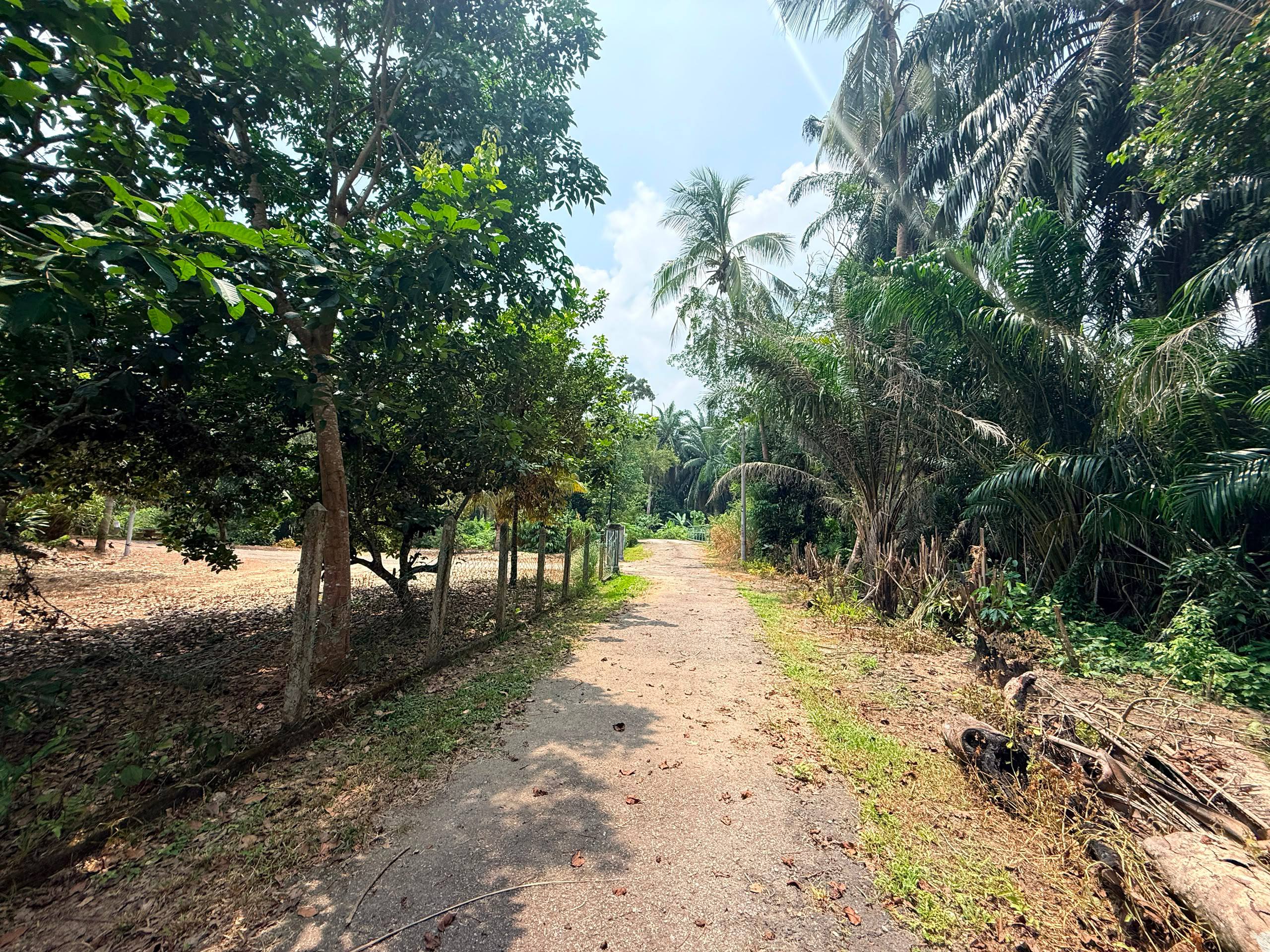 TANAH TABOH NANING, ALOR GAJAH