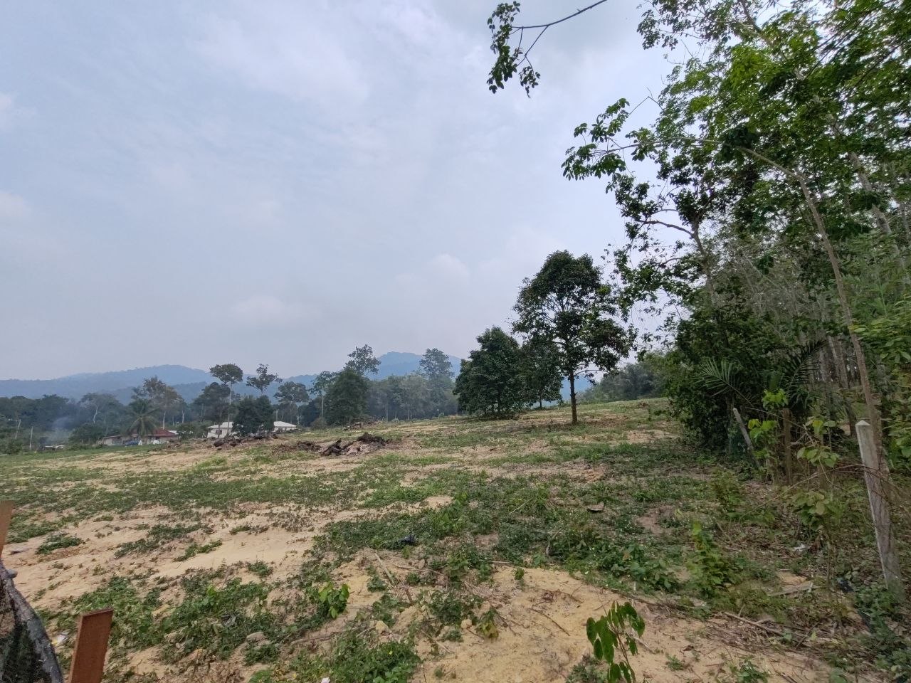 TANAH KEBUN GETAH NYALAS, JASIN