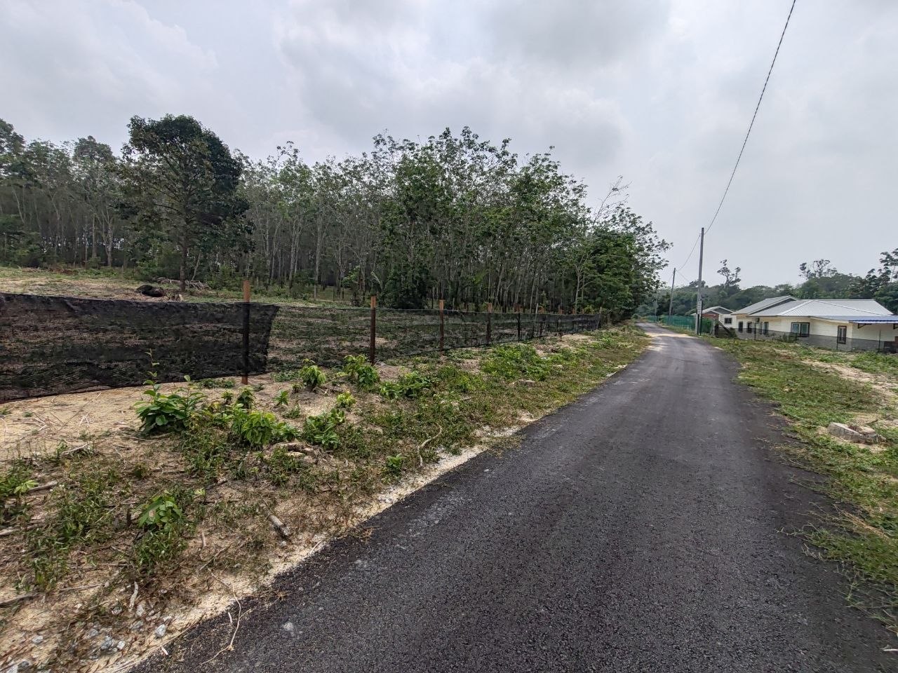 TANAH KEBUN GETAH NYALAS, JASIN