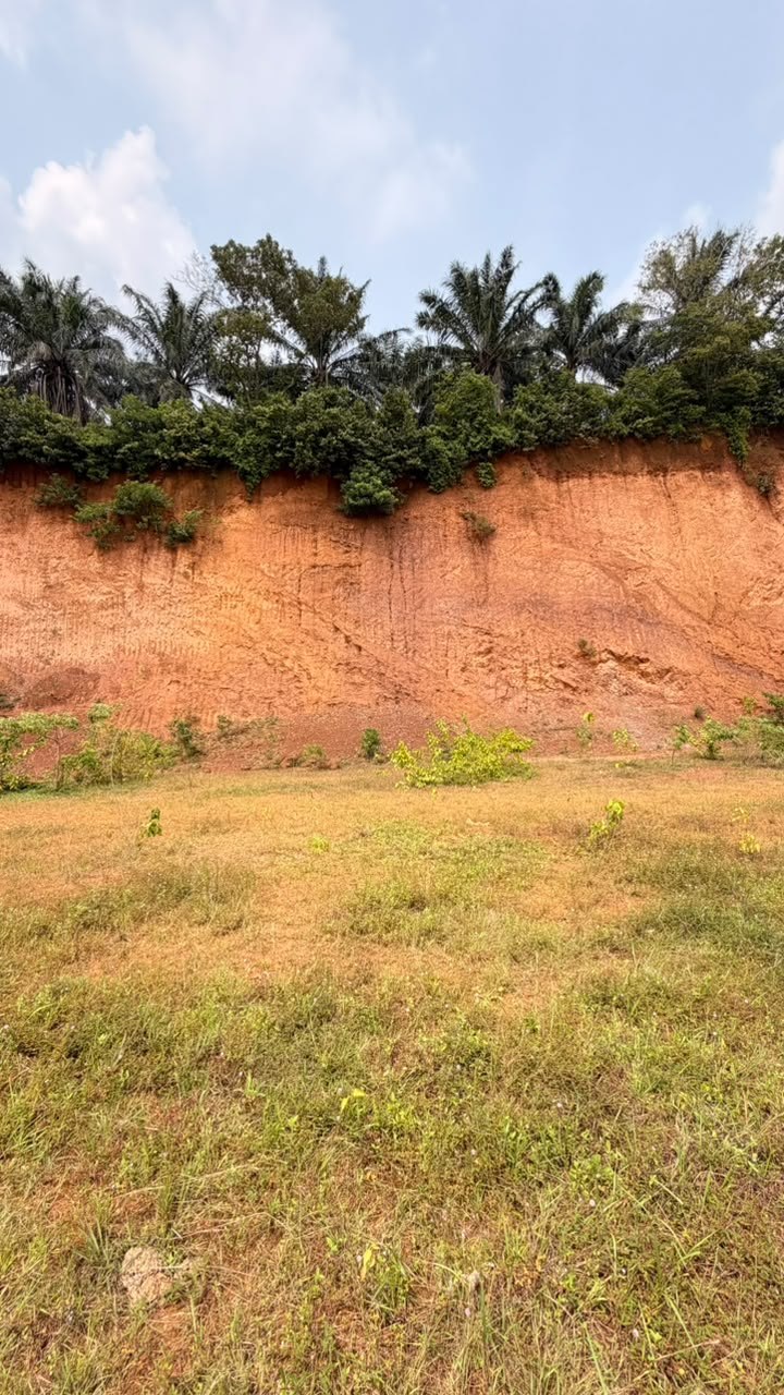 TANAH SOLOK GAUNG BUKIT LINTANG, AYER MOLEK MELAKA