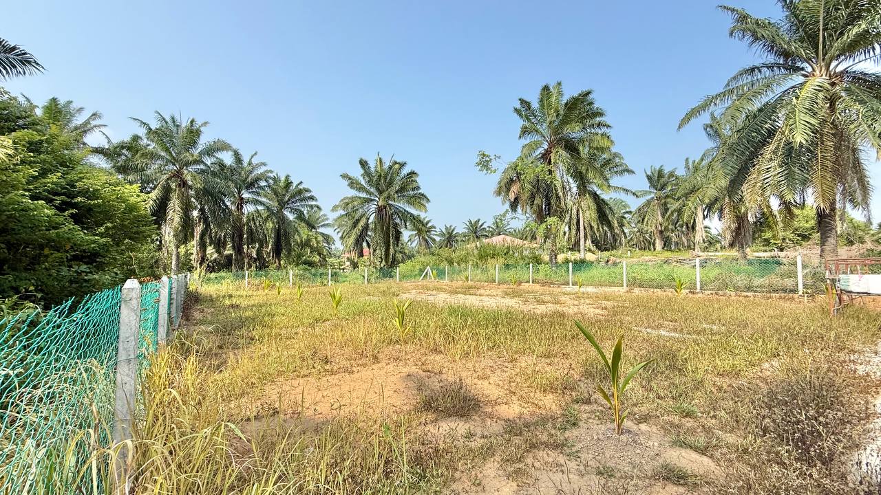 TANAH KAMPUNG TERSUSUN LIPAT KAJANG JASIN MELAKA