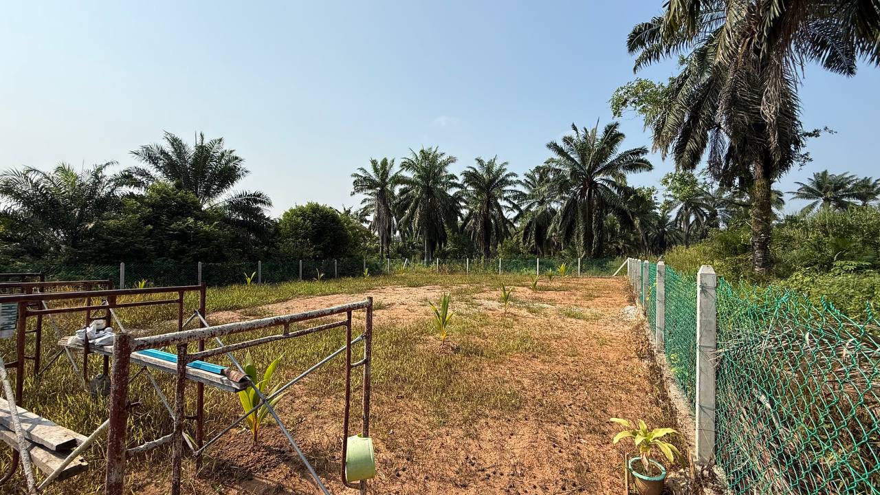 TANAH KAMPUNG TERSUSUN LIPAT KAJANG JASIN MELAKA