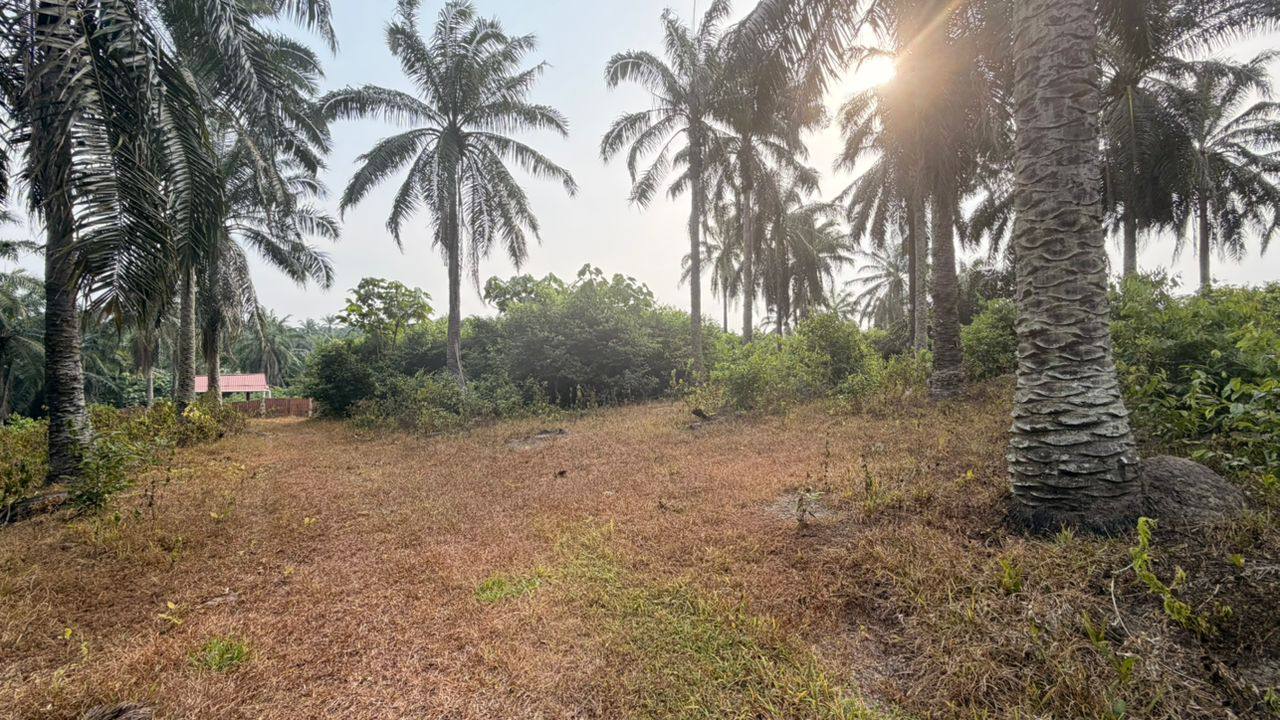 TANAH KG TERSUSUN TEHEL