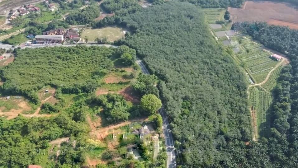 TANAH TEPI JALAN UTAMA, DURIAN TUNGGAL MELAKA