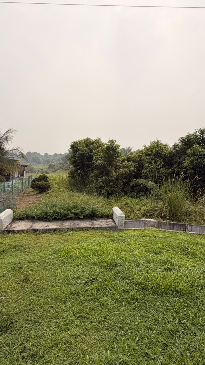 TANAH PERTANIAN PAYA DALAM, BUKIT LINTANG MELAKA