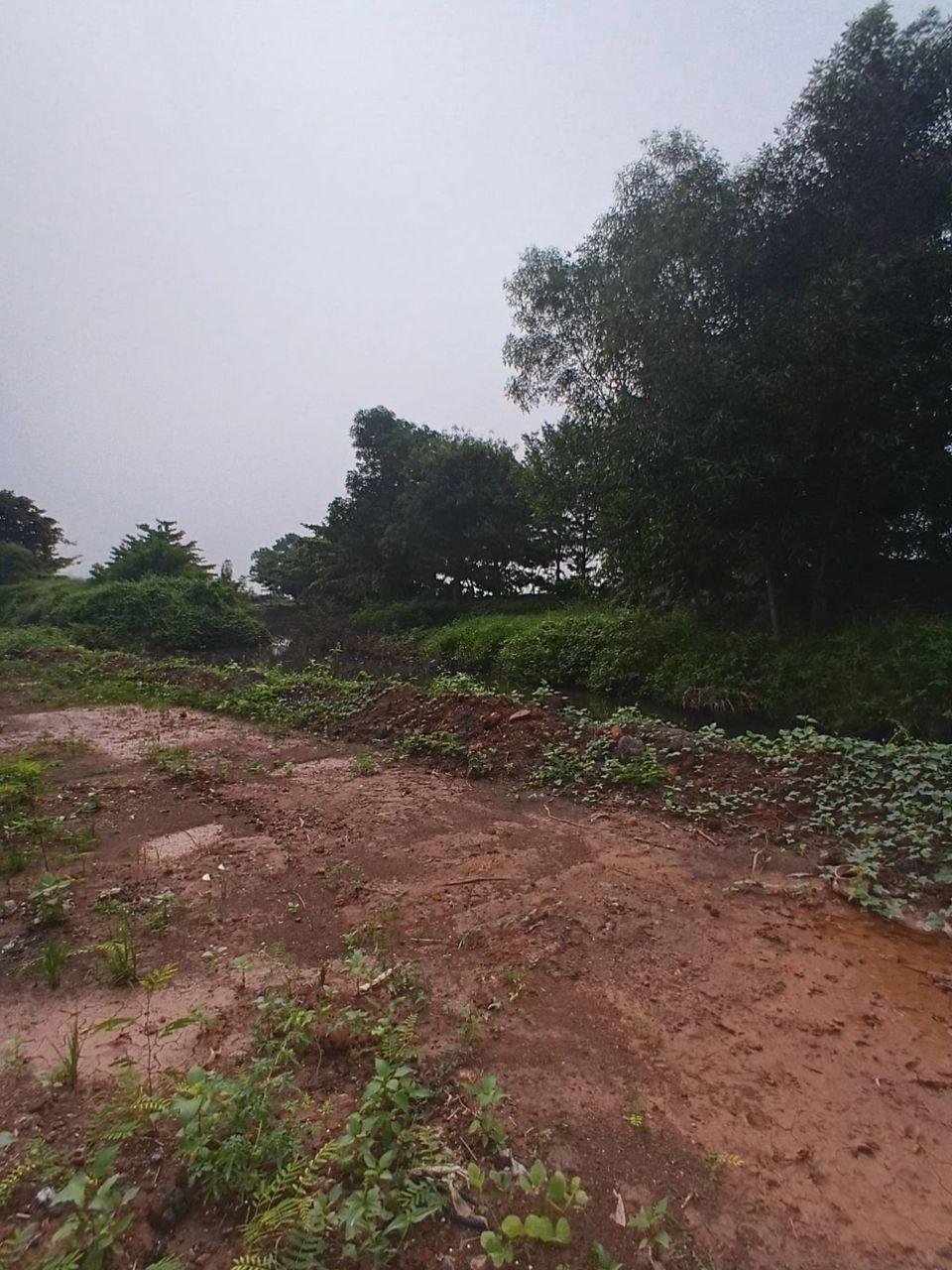 TANAH PERTANIAN TELUK MAS MELAKA
