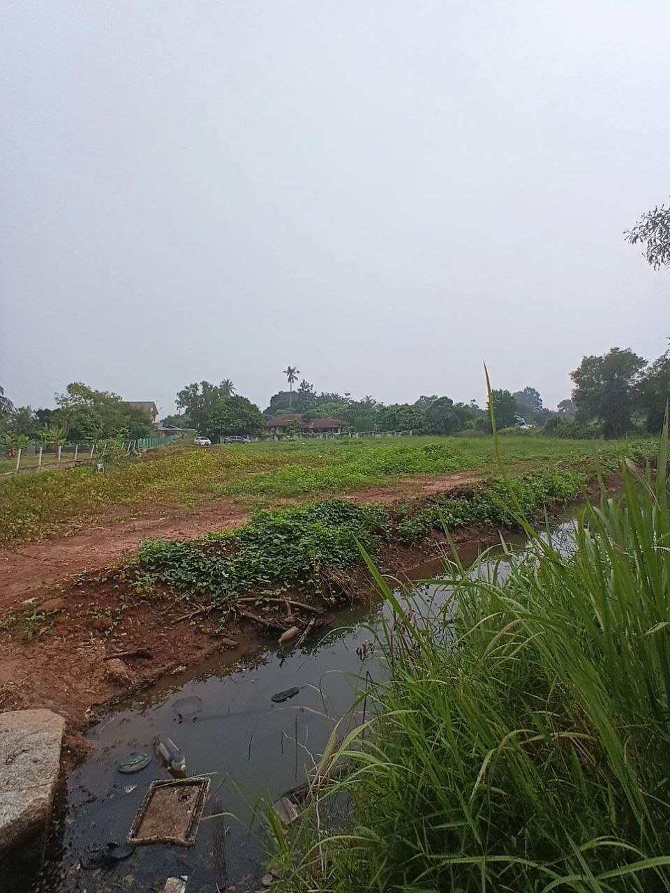 TANAH PERTANIAN TELUK MAS MELAKA